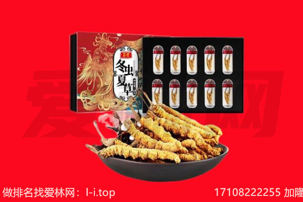 开封市祥符回收虫草.jpg